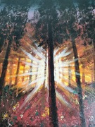 ŚWIATŁO WŚRÓD DRZEW 