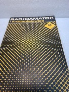 Radioamator i krótkofalowiec 2-1971