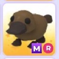 Adopt me! Platypus mega, ride