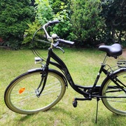 Rower miejski / Citybike 