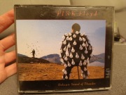 Pink Floyd Delicate Sound of Thunder CD