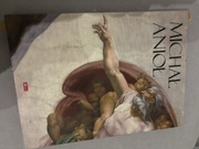 Michał Anioł książka używany stan bardzo dobry 