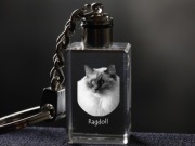 Ragdoll brelok sześcienny ŚWIECĄCY KOT