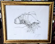 Gunther Grass akwaforta 