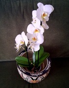 Duża, ceramiczna osłonka cache- pot, w stylu secesyjnym