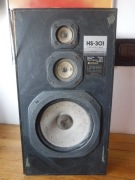 Kolumna Hitachi HS 301 ZOBACZ