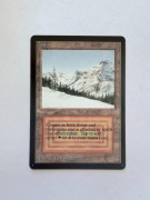 [MTG] [PROXY] Taiga