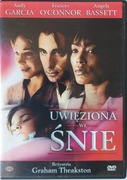 UWIĘZIONA WE ŚNIE. ANDY GARCIA. ANGELA BASSETT. DVD