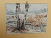 Obraz Olejny "Dwie samotne brzozy" 30x40