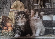 Clementoni 1000 Lovely Kittens