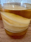 Kombucza - grzybek herbaciany średnica 9 cm, dostawa gratis!