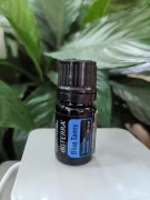 Olejek eteryczny Blue Tansy Wrotycz Marokański doTerra