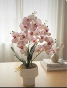 Storczyk sztuczny 50 cm