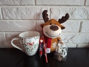 Świąteczny prezent pod choinkę