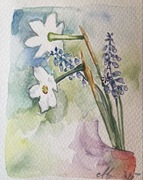 „Narcyzy i szafirki” piękna akwarela