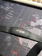 Nadajnik HR Polar T34 + Pas piersiowy (Rozmiar M) | Stan nieznany