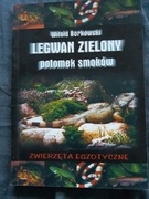 LEGWAN ZIELONY POTOMEK SMOKOW