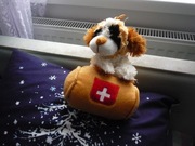 Piesek z pomocą medyczną 19 cm GRATIS