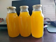 Sok z żółtej mirabelki z przy. zbiorów bez oprysków i nawozów 330 ml.