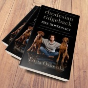 Rhodesian Ridgeback. Pies doskonały.