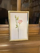 Delikatny pastelowy obrazek