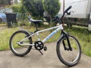 Rowerek dziecięcy 20’