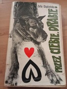 Przez ciebie, Drabie! Zofia Chądzyńska