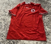 Szwajcaria 2006-2008