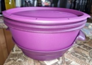 Micro max gourmet tupperware