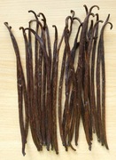 Laski Wanilii z Tanzanii 17-19 oraz 19-21cm