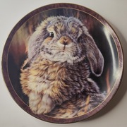 Talerz kolekcjonerski Bunny Tales I'm All Ears królik 