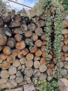 Drewno do wędzenia dąb 20kg