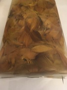 Piórka dekoracyjne jasno brązowe 50g