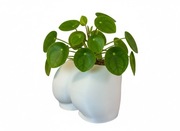 Doniczka Ozdobna Pupa Biała/Czarna Pośladki śmieszny prezent urodziny 