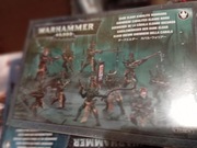 Dark Eldar Warriors
