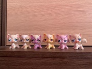LPS Littlest pet shop longhair cat zestaw