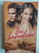 BEZ HAMULCÓW Aleksandra Pakuła