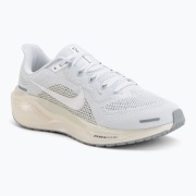 Nike Air Zoom Pegasus 41