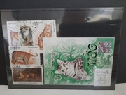 Koty zbiorek nr.163-165