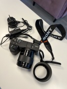 SONY Alpha 6600 + SONY 50mm 1.8 