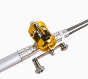 Pen rod white ( mini fishing rod)