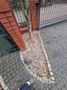 Grys granitowy o frakcji 16 do 32 mm oddam za darmo