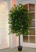 Drzewko sztuczne fikus - beniaminek  175