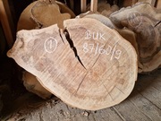 Plaster Drewna Buk - 87/60/9 cm Wysuszony Blat Stolik Żywica DIY loft