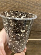 Ziemia Najlepsze Podłoże Dla Epiphyllum 10L