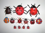 Biedronki guma plastik 13 szt