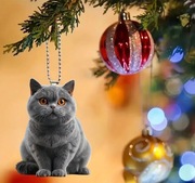 Wisiorek przywieszka przypinka kot brytyjski dostawa 24h PL. 