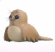 2x Galapagos Sea Lion - Adopt Me Roblox