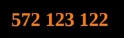 ZŁOTY, PROSTY, ŁATWY NUMER 572 123 122 Orange