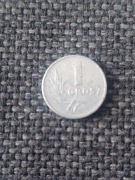 MONETA 1949 1 GROSZ